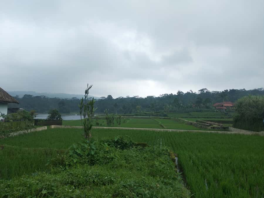 Jakarta: Volcano, Hot Spring, Tea, Rice Fields, &Coffee tour - Walking around Tangkuban Perahu’s main crater