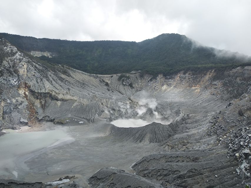 Jakarta: Volcano, Hot Spring, Tea, Rice Fields, &Coffee tour - The Ciater tea factory and plantation