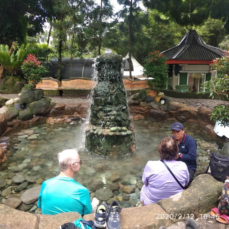 Jakarta: Volcano, Hot Spring, Tea, Rice Fields, &Coffee tour - Lunch in Lembang and the cost of the day