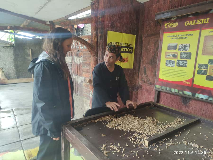 Jakarta: Volcano, Hot Spring, Tea, Rice Fields, &Coffee tour - The long ride back to Jakarta