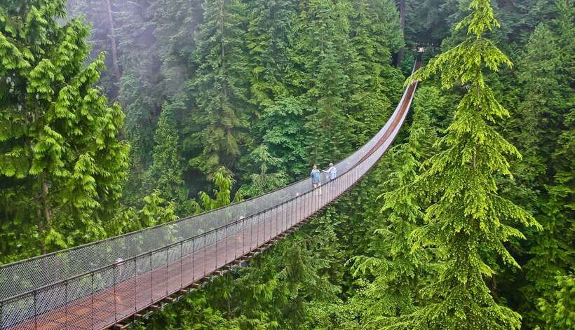 Jakarta: Volcano or Suspension Bridge,Ricefield & Hot Spring - Tea fields and fruit farms near Ciwidey