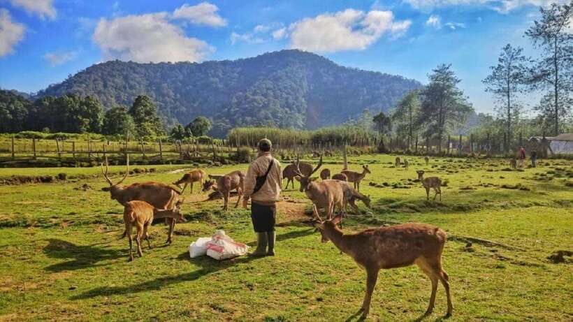 Jakarta: Volcano or Suspension Bridge,Ricefield & Hot Spring - What to pack for a day of volcanoes and hot springs