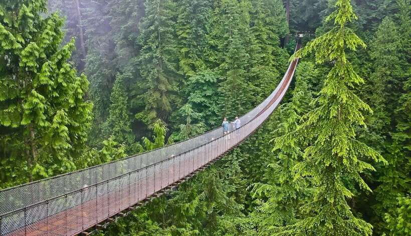 Jakarta: Volcano, Suspension Bridge, and Hot Spring Tour - The Real Cost of Leaving Jakarta