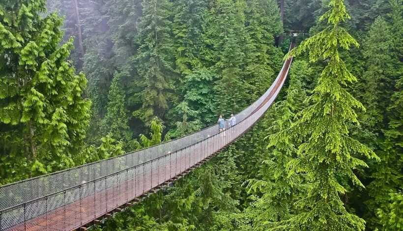 Jakarta: Volcano, Suspension Bridge, and Hot Spring Tour - Warm Water at the Hot Springs