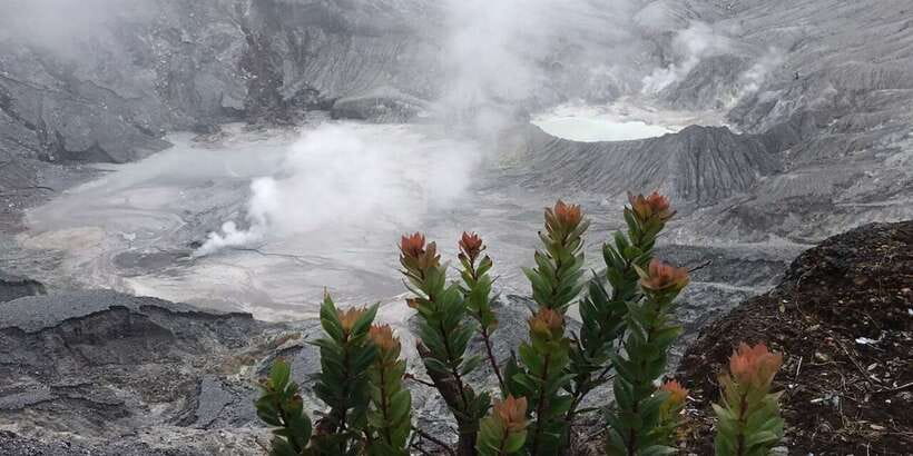 Jakarta: Volcano, Tea/Rice Fields, Hot Spring, Local Food - Why this Jakarta volcano day trip works