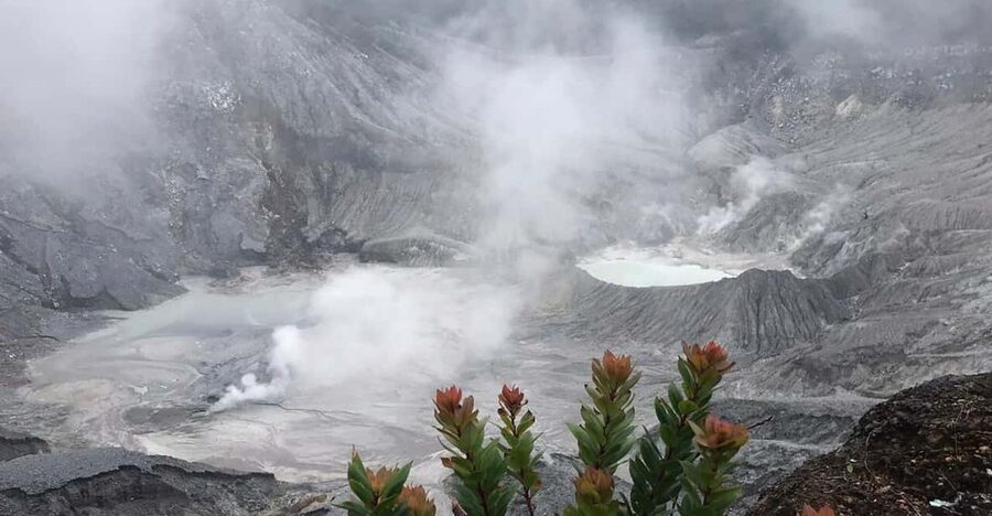 Jakarta: Volcano, Tea/Rice Fields, Hot Spring, Local Food - Tea gardens and fruit tasting