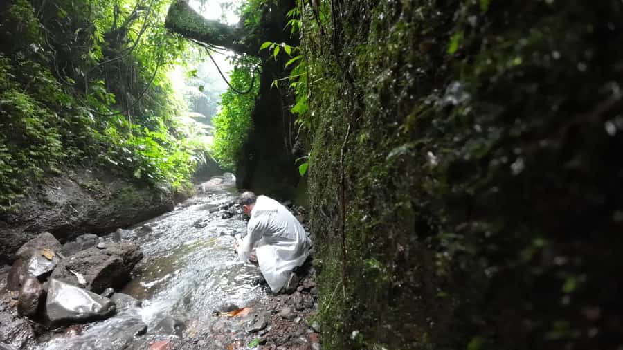 Jakarta: Waterfalls, Volcano, White Crater, Tea, Hot Spring - Hot springs are a useful reason to pack a swimsuit
