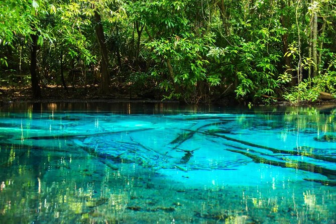 Jungle Tour to Emerald Pool, Krabi Hot Spring and Tiger Cave Temple - Key points to know before booking