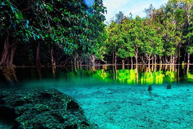 Jungle Tour to Emerald Pool, Krabi Hot Spring and Tiger Cave Temple - Namtok Ron: warm pools in a shaded forest