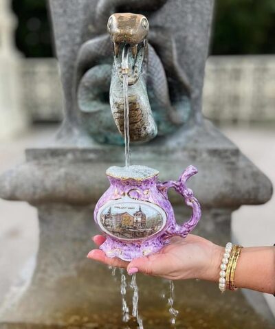 Karlovy Vary: Mineral Hot Springs Tasting and Walking Tour