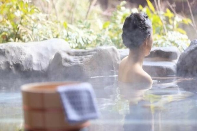 Keelung Shore Excursion: Yangmingshan Hot Spring and Wild Vegetable Cuisine Tour - Five things to know before you go
