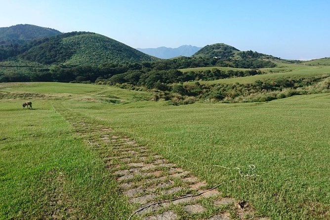 Keelung Shore Excursion: Yangmingshan Hot Spring and Wild Vegetable Cuisine Tour - From Keelung Port to a volcanic mountain park