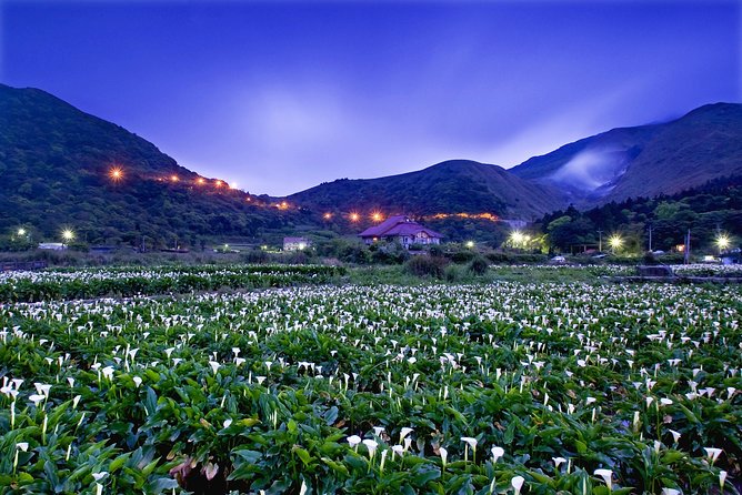Keelung Shore Excursion: Yangmingshan Hot Spring and Wild Vegetable Cuisine Tour - How the $280 price holds up