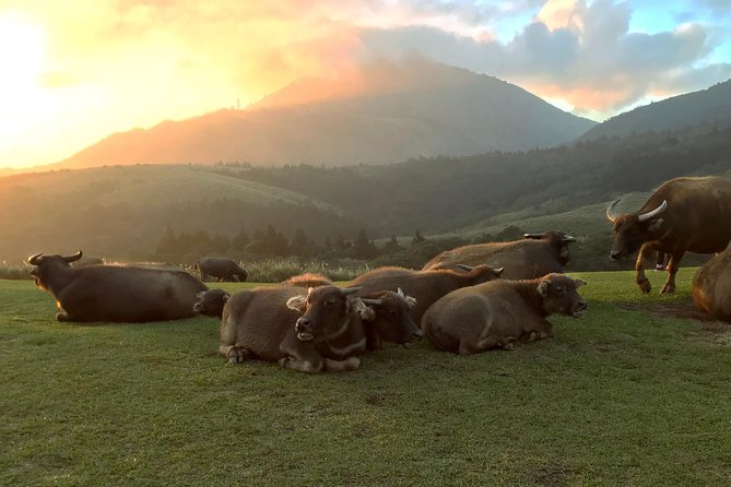 Keelung Shore Excursion: Yangmingshan Hot Spring and Wild Vegetable Cuisine Tour - Weather, clothing, and practical planning