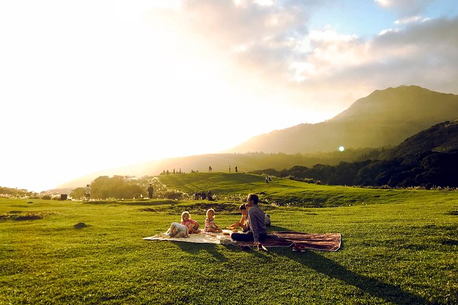 Keelung Shore Excursion: Yangmingshan Hot Spring and Wild Vegetable Cuisine Tour - Who will enjoy this Yangmingshan day