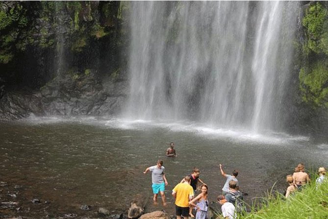 Kikuletwa (Chemka) Hot Springs Day Tour - Swimming, snorkeling, and the fish pedicure