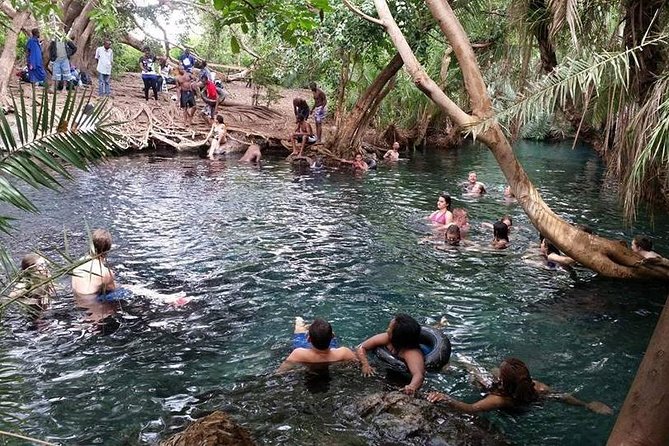 Kikuletwa (Chemka) Hot Springs Day Tour - Lunch and what the $90 price covers