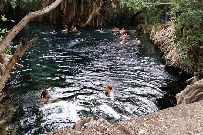 Kikuletwa (Chemka) Hot Springs Day Tour - Who will enjoy this day trip
