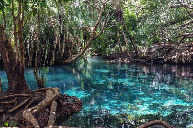 Kikuletwa Hot spring - Floating, Swimming, and the Rope Swing