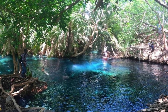 Kikuletwa Hot Spring Day Tour - Swimming in water that looks too clear to be real