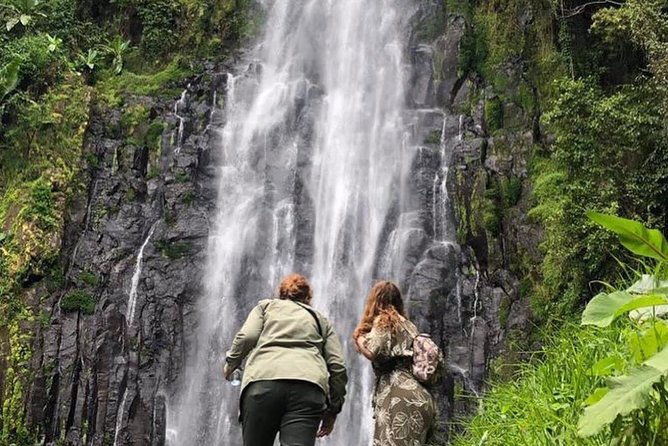 Kilimanjaro Waterfalls Hike & Moshi Hot Springs Day Trip Tour - Key points to know before you book