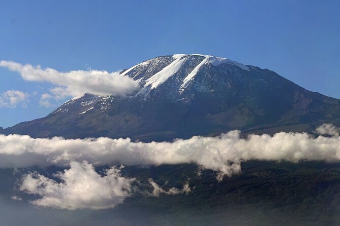Kilimanjaro Waterfalls Hike & Moshi Hot Springs Day Trip Tour - What the private format adds at $160