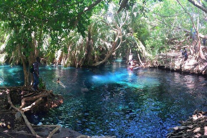 Kilimanjaro Waterfalls Hike & Moshi Hot Springs Day Trip Tour - Village coffee guides and a picnic above the valley