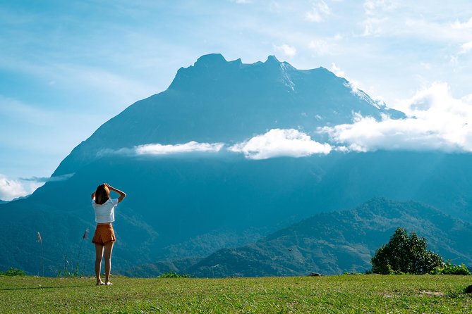 Kinabalu Park & Poring Hot Spring & Canopy Walk - The 105-meter canopy walkway