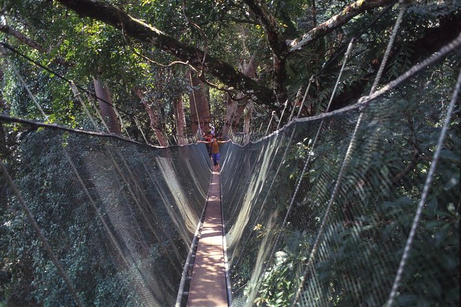 Kinabalu Park & Poring Hot Spring Tour - Desa Cattle Farm and the mountain views