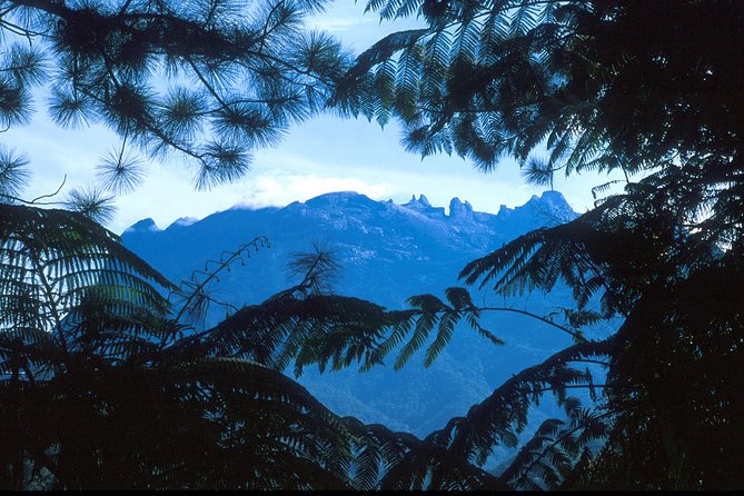 Kinabalu Park & Poring Hot Spring Tour - Poring Hot Spring: what you will and will not get