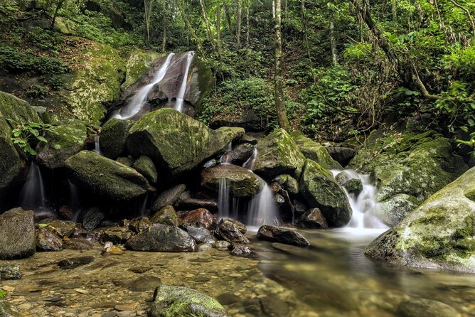Kinabalu Park & Poring Hot Springs Tour with Desa Dairy Farm - A mountain day that packs in plenty