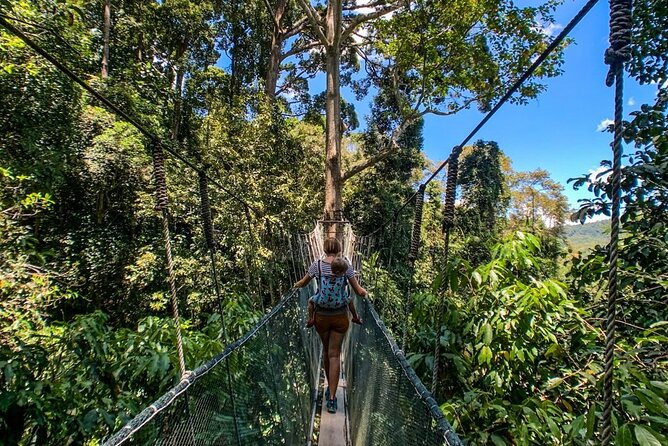 Kinabalu Park & Poring Hot Springs Tour with Desa Dairy Farm - Timing, fitness, and what to pack