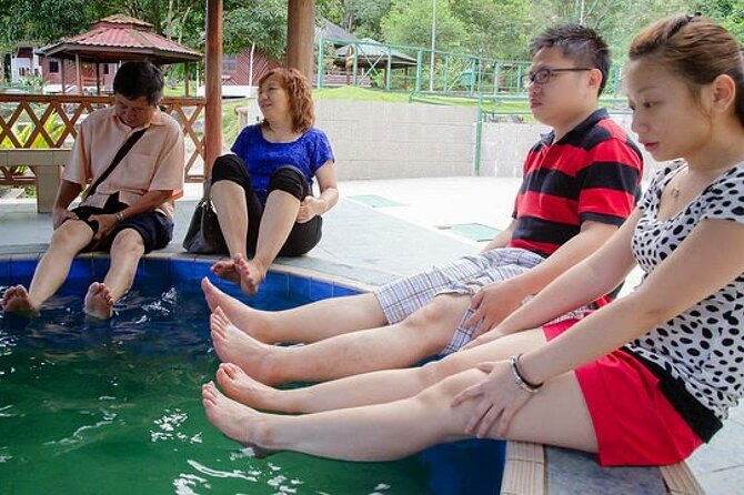 Kinabalu Park Tour with Desa Dairy Farm & Poring Hot Springs - Poring Hot Springs offers a slower pause