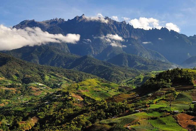 Kinabalu Park Tour with Desa Dairy Farm & Poring Hot Springs - Kinabalu Park puts Mount Kinabalu in context