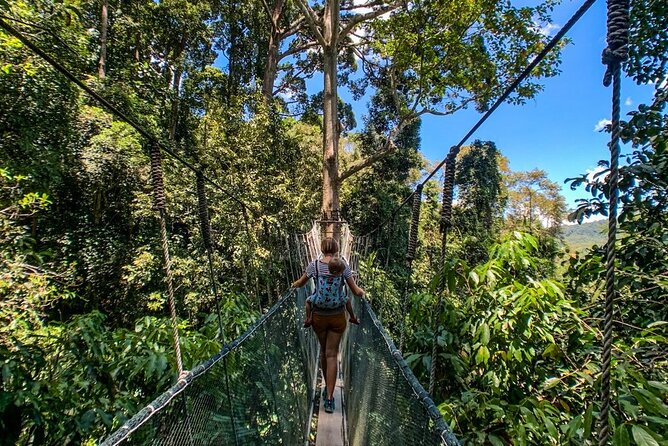 Kinabalu Park Tour with Desa Dairy Farm & Poring Hot Springs - Nabalu Market makes a useful first stop