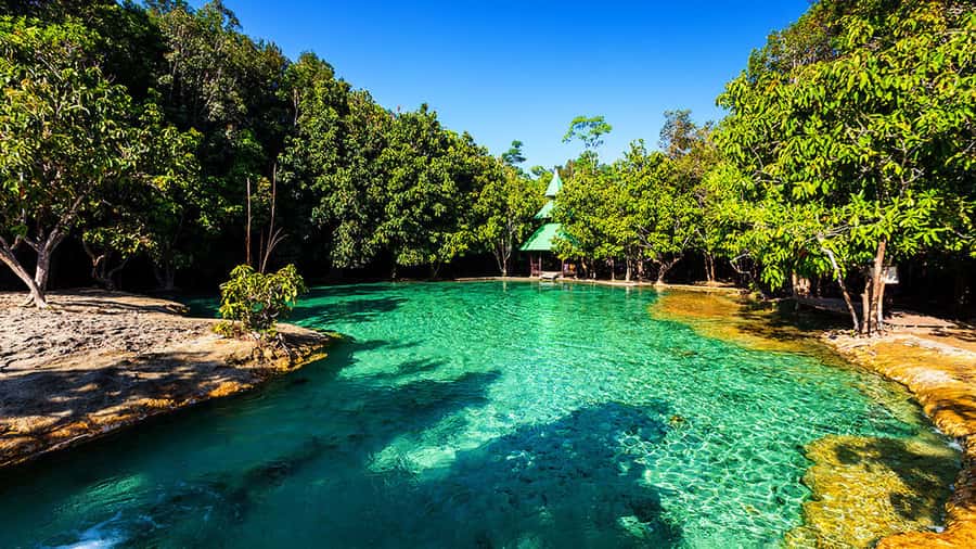 Ko Lanta: Full Day Emerald Pool&Hot Spring With Tiger Temple - Who will enjoy this day trip
