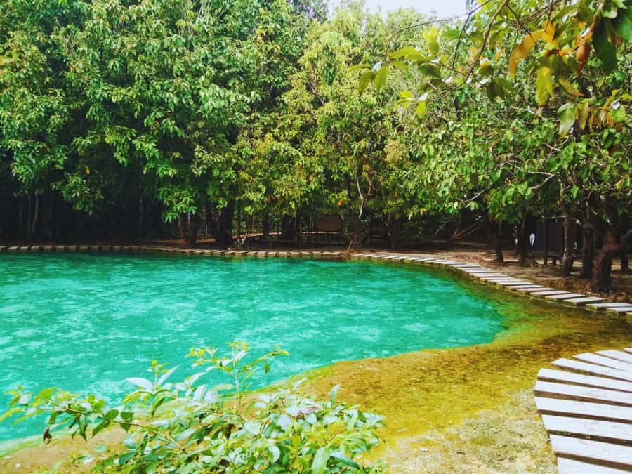 Ko Lanta: Full Day Emerald Pool&Hot Spring With Tiger Temple - Three Krabi highlights in one long day