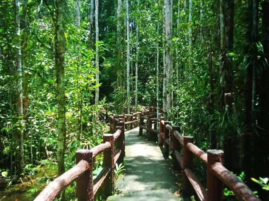 Ko Lanta: Full Day Emerald Pool&Hot Spring With Tiger Temple - Tiger Cave Temple and the 1,260 steps