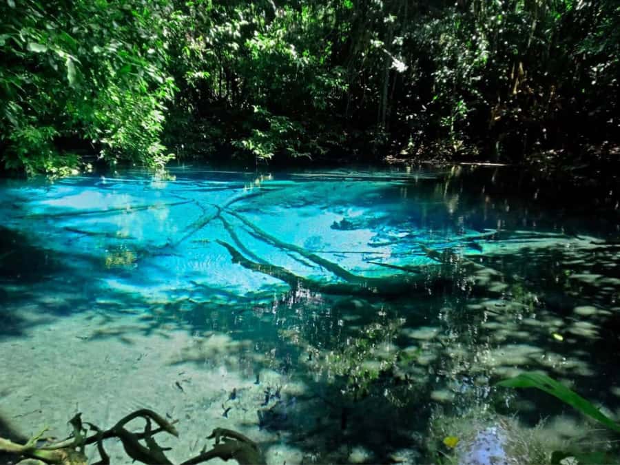 Ko Lanta: Full Day Emerald Pool&Hot Spring With Tiger Temple - What $160 includes, and where the value lies