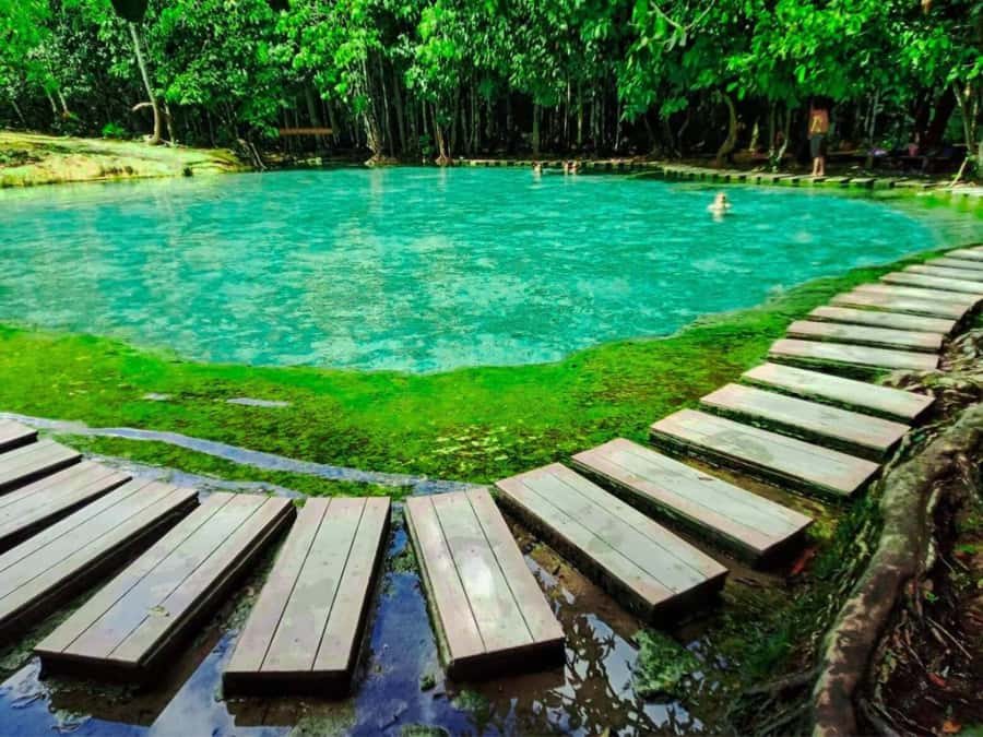 Ko Lanta: Full Day Emerald Pool&Hot Spring With Tiger Temple - Leaving Ko Lanta around 7 AM