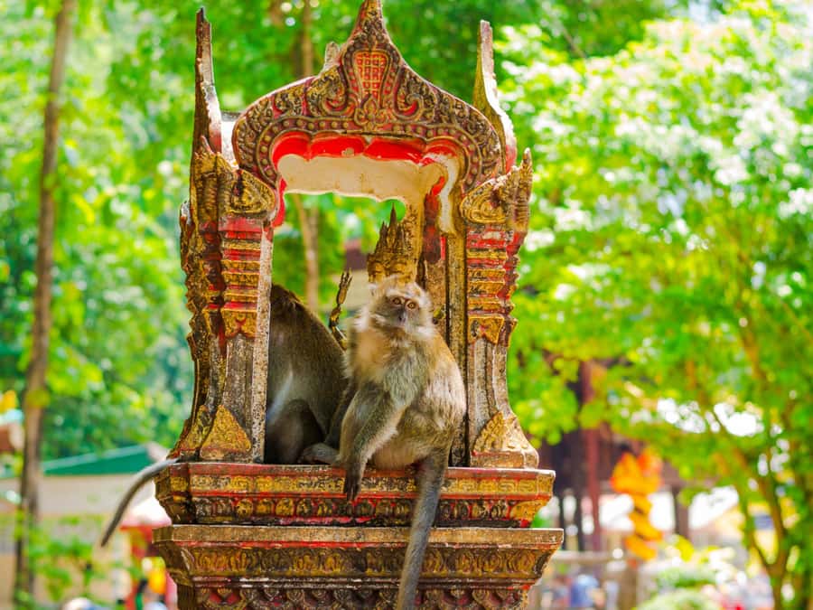 Ko Lanta: Private Tiger Cave, Hot Spring & Emerald Pool Tour - Krabi Hot Springs: ninety minutes to slow down