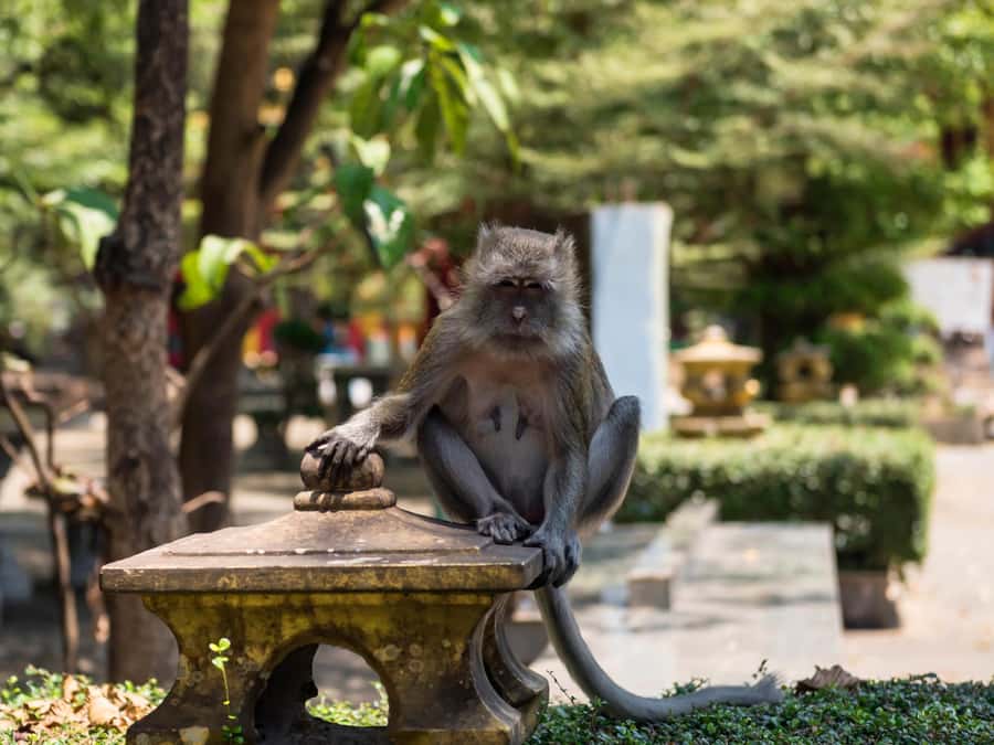 Ko Lanta: Private Tiger Cave, Hot Spring & Emerald Pool Tour - Is $231 good value for four people?