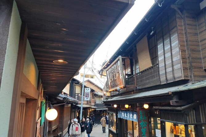 Kobe Guided Tour Including Port Area and Arima Onsen Town - Who should book this Kobe and Arima combination