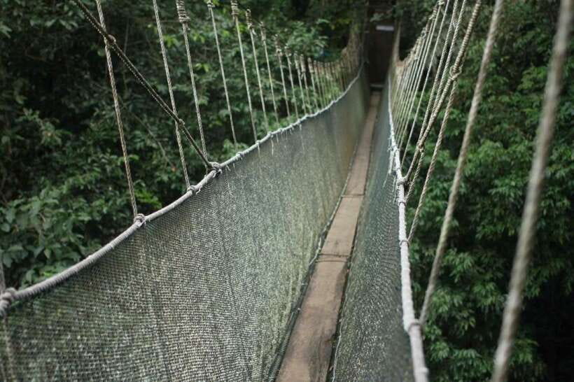 Kota Kinabalu: Private Kundasang and Poring Hot Spring Tour - Key points at a glance