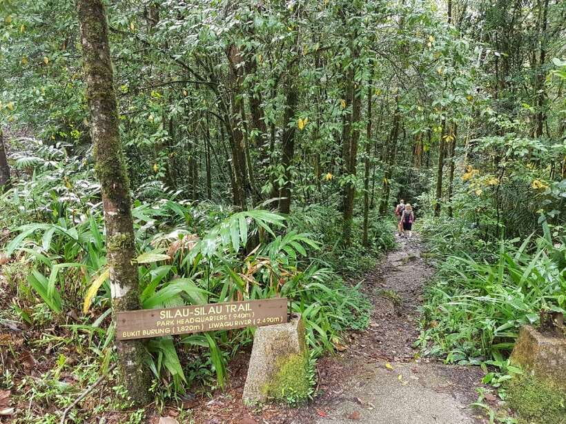 Kota Kinabalu: Private Kundasang and Poring Hot Spring Tour - The guide can make or break the day