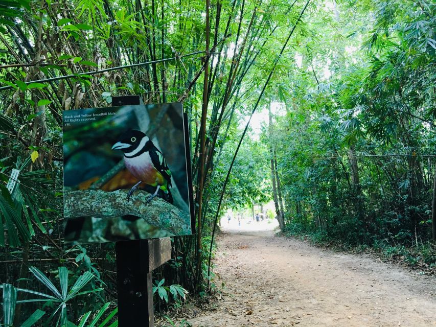 Krabi: Emerald Pool and Hot Spring Waterfall with ATV Riding - Should you book it?
