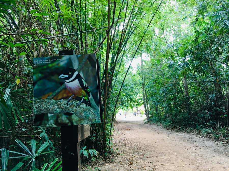 Krabi: Emerald Pool and Hot Spring Waterfall with ATV Riding - What to bring and what to confirm