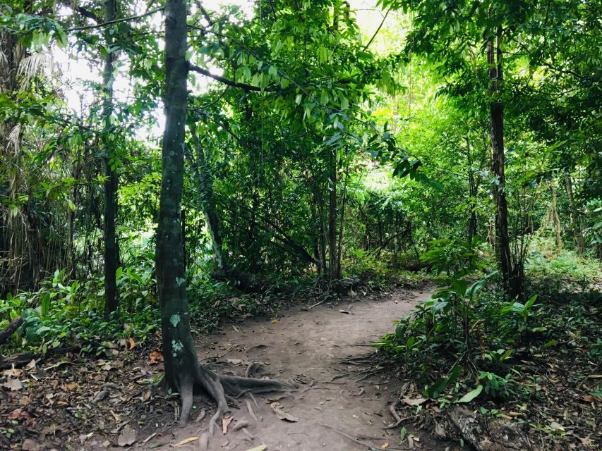 Krabi: Emerald Pool and Hot Springs Waterfall Half-Day Trip - Emerald Pool and hot springs: what this half-day trip really offers