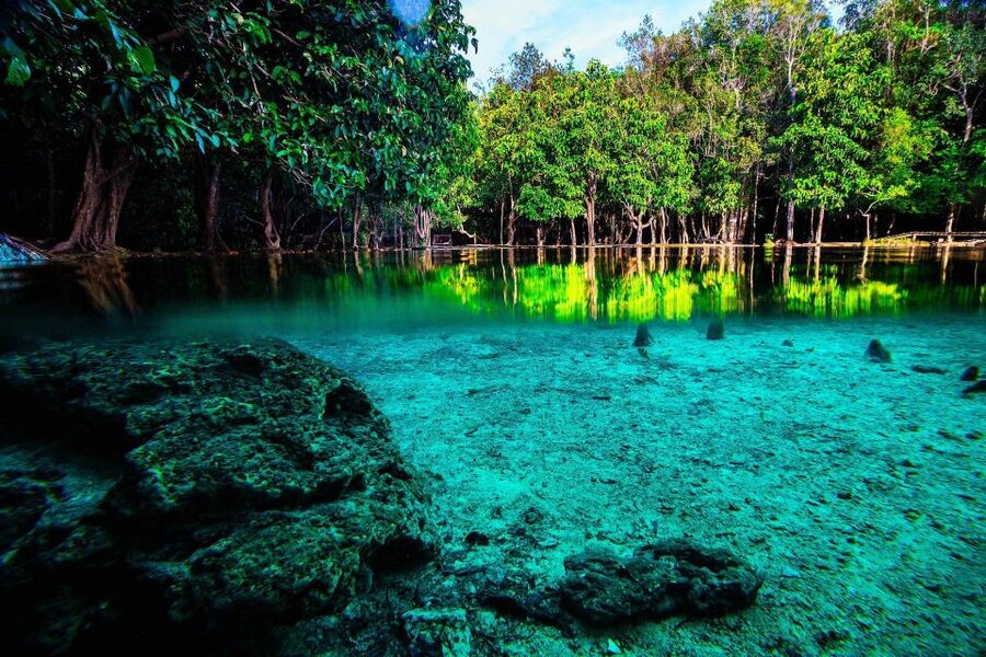 Krabi: Emerald Pool & Hot Spring Waterfall with Kayaking - Key points to know before booking