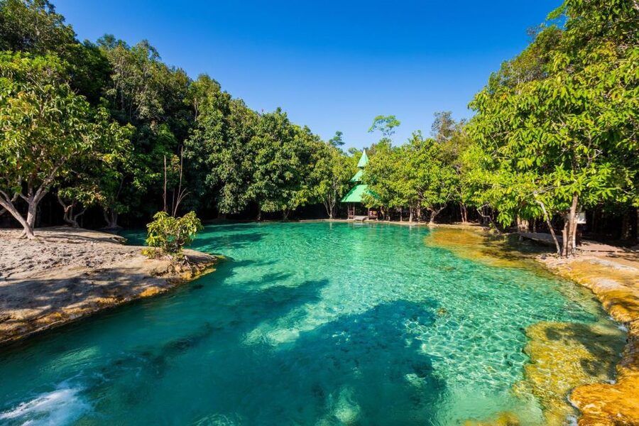 Krabi: Emerald Pool & Hot Spring Waterfall with Kayaking - Walking into the Emerald Pool reserve
